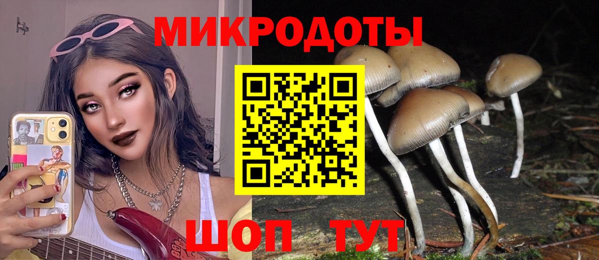 Псилоцибиновые грибы прущие грибы  Вход с VPN  Протвино 